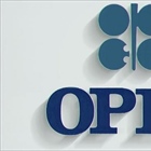OPEC Output Cuts Cloud Iran Outlook